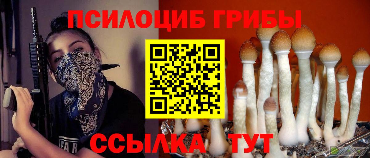 Семёнов  Галлюциногенные грибы GOLDEN TEACHER  Псилоцибиновые грибы GOLDEN TEACHER  Вход с VPN 